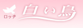 logo.jpg