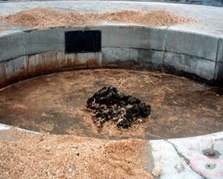 que-14118573564.jpg
